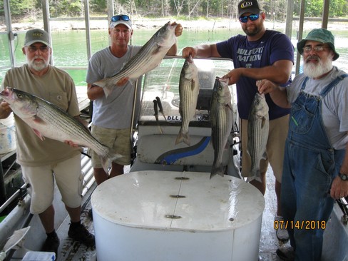 Nice Striped Bass